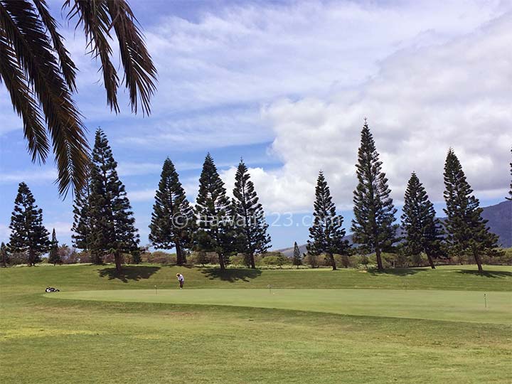 ハワイのゴルフ場のパッティンググリーン